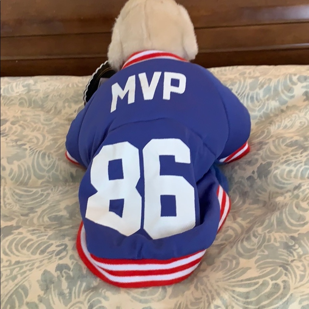Small dog football player uniform